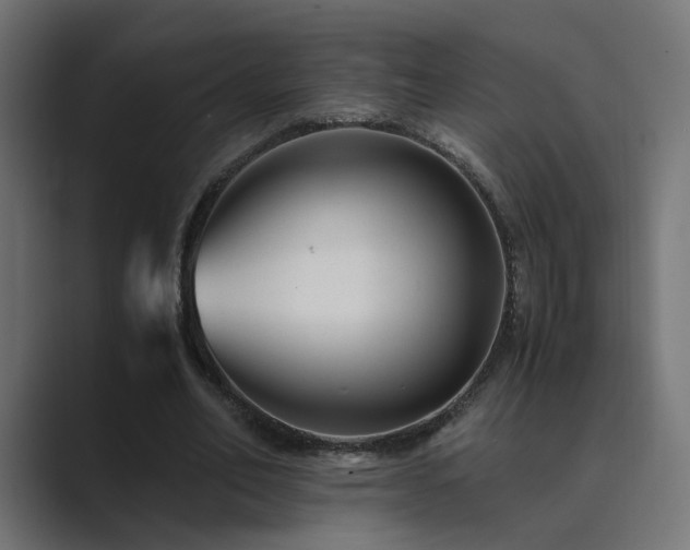 X0000089950582200706291213