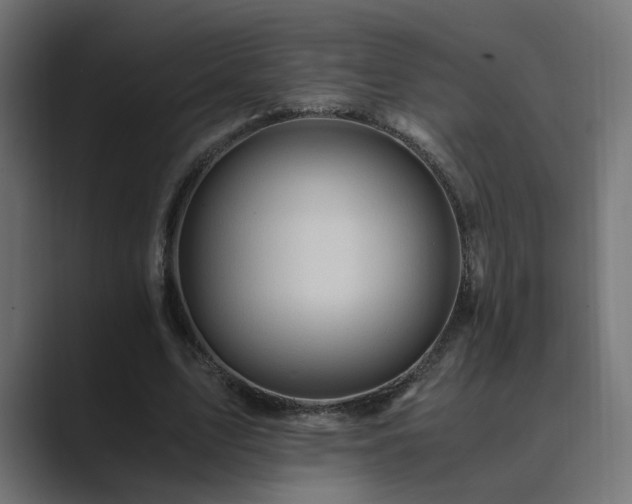 X0000089950583200706291213