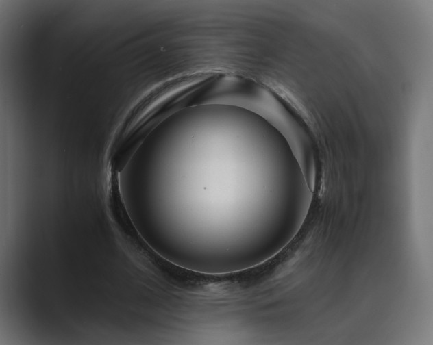 X0000089950584200706291213
