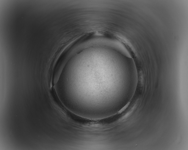 X0000089950589200706291213