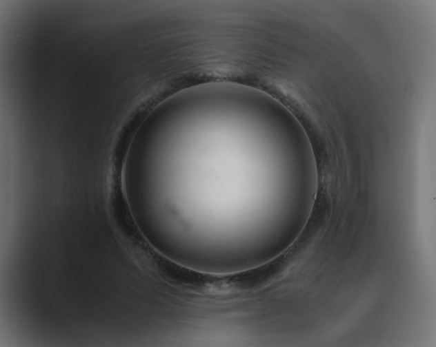 X0000089950591200706291213