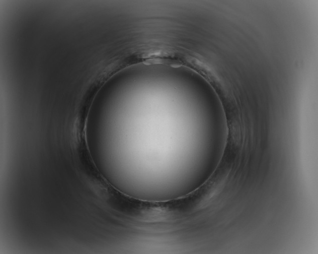 X0000089950594200706291213