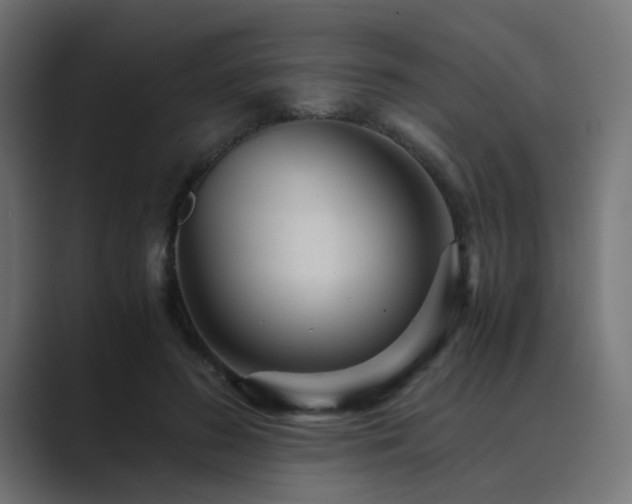 X0000089950596200706291213