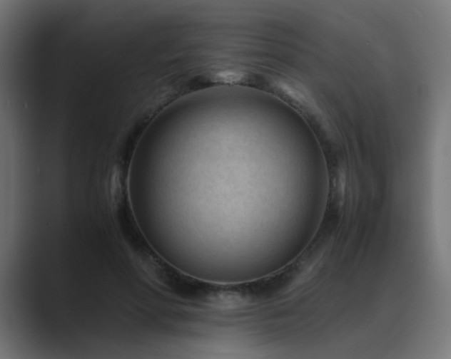 X0000089950598200706291213