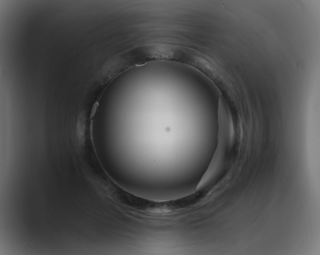 X0000089950600200706291213