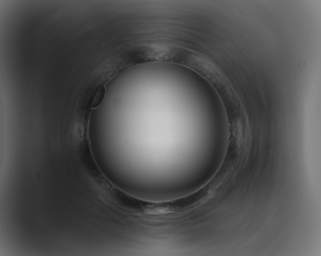 X0000089950602200706291213