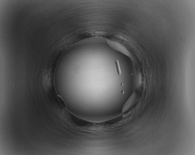 X0000089950604200706291213