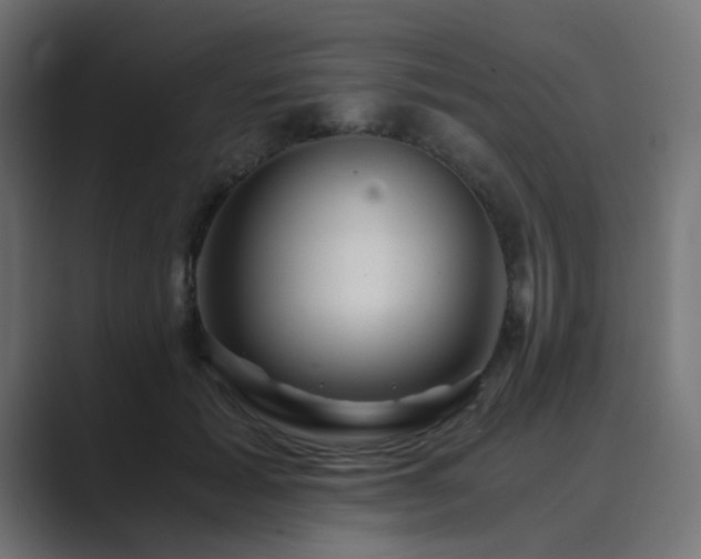 X0000089950605200706291213