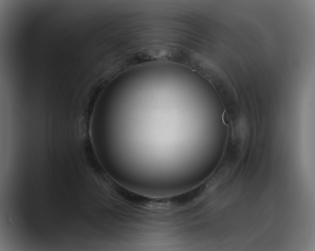 X0000089950606200706291213