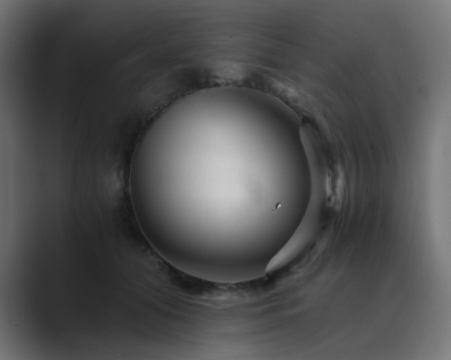 X0000089950608200706291213