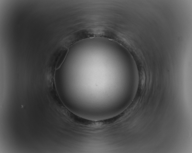 X0000089950609200706291213