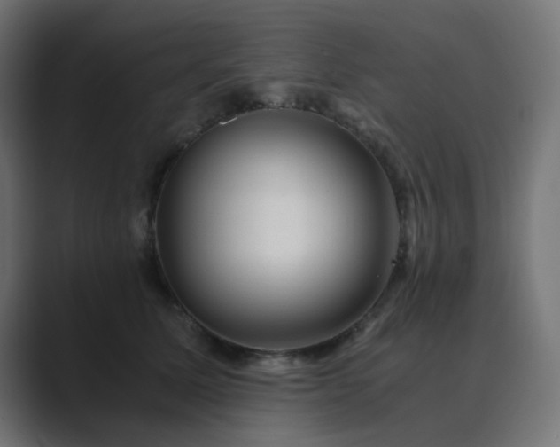 X0000089950611200706291213