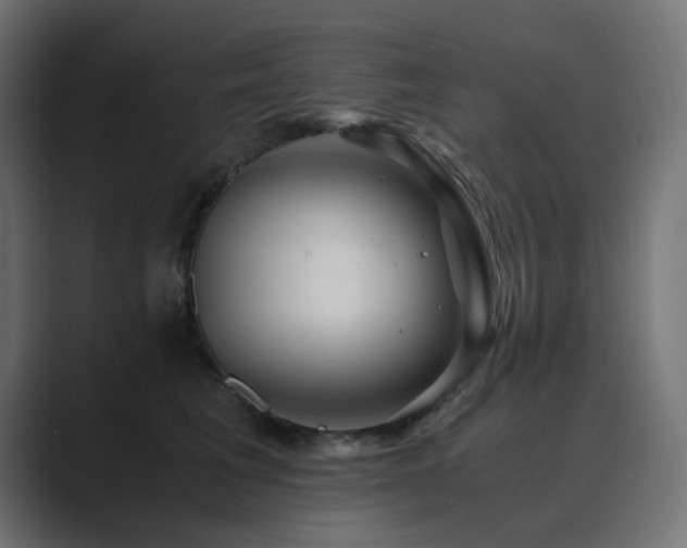 X0000089950613200706291213