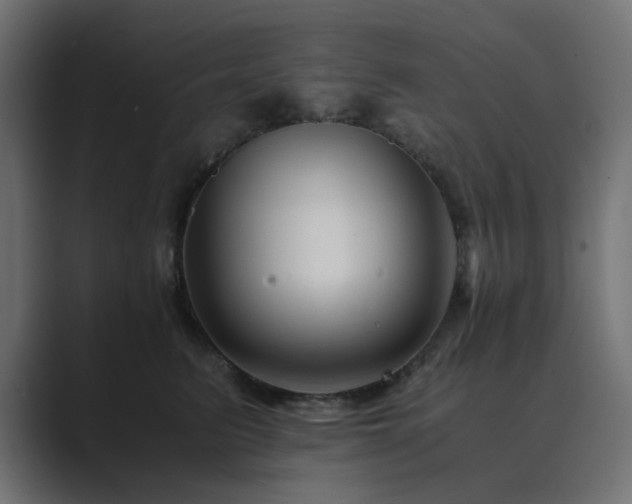 X0000089950615200706291213