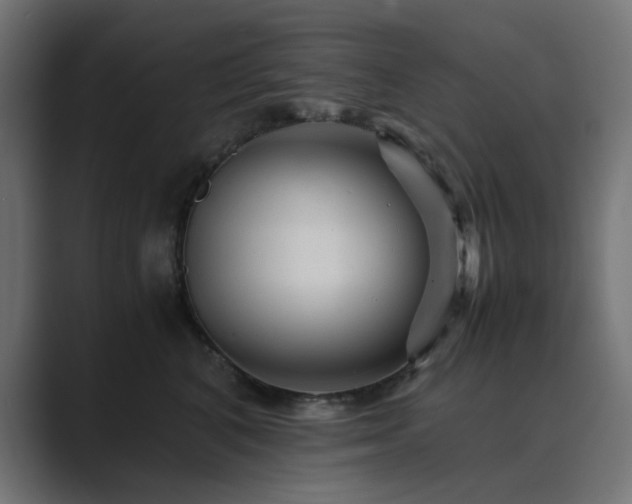 X0000089950616200706291213