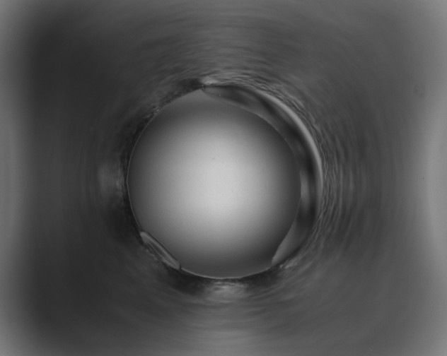 X0000089950617200706291213