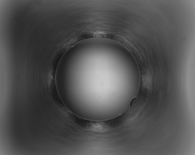 X0000089950618200706291213