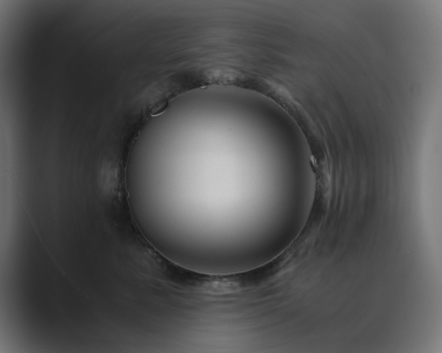 X0000089950619200706291213