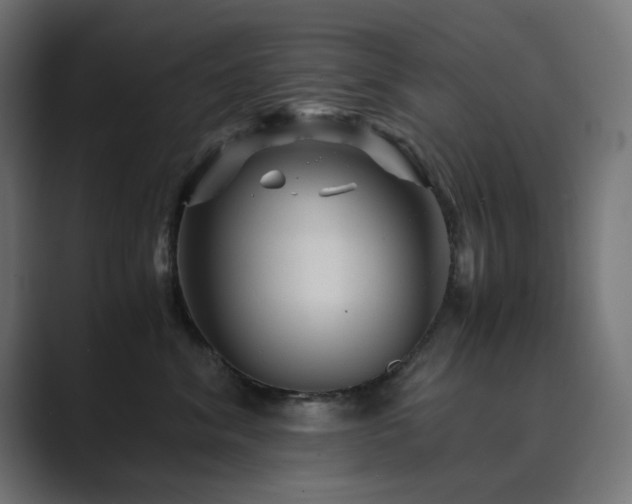 X0000089950620200706291213