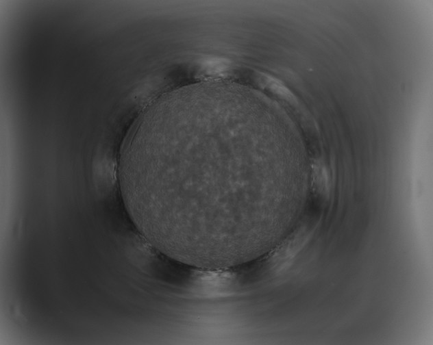 X0000089950621200706291213