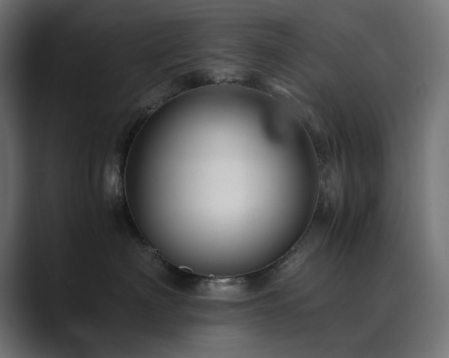 X0000089950622200706291213