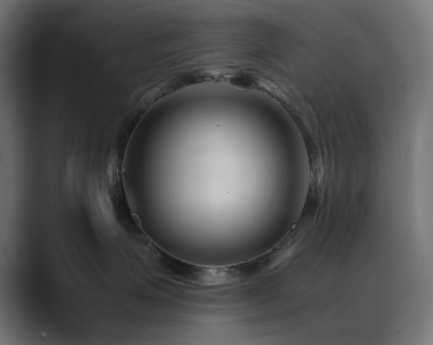 X0000089950623200706291213