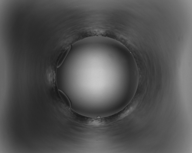 X0000089950624200706291213