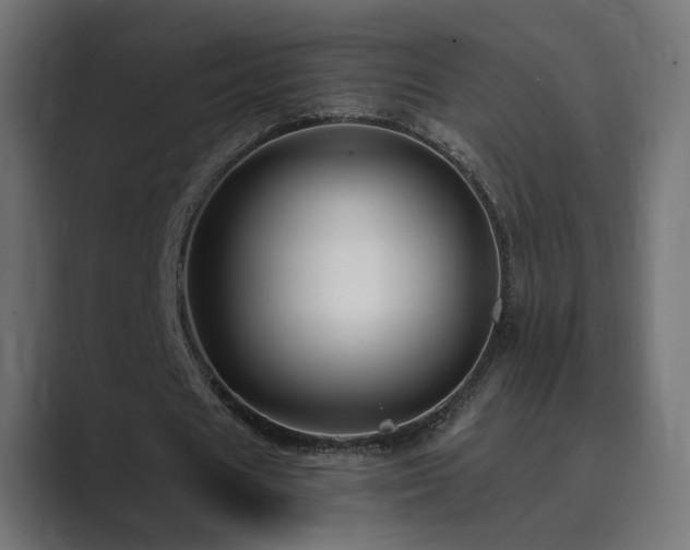 X0000089950625200706291212