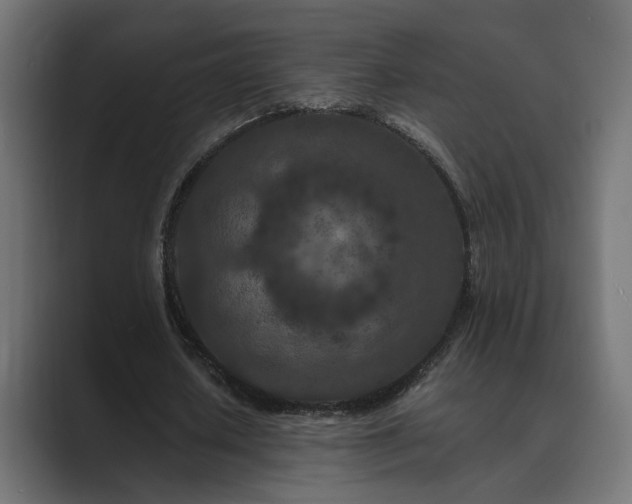X0000089950626200706291212