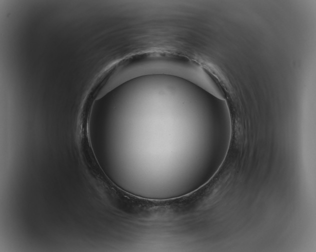 X0000089950628200706291212
