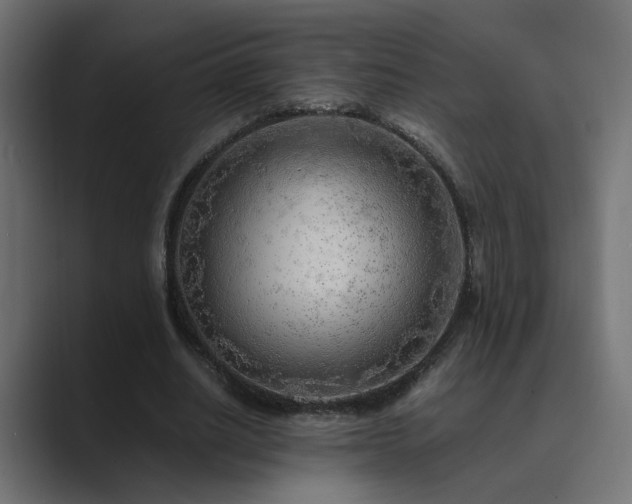 X0000089950630200706291212