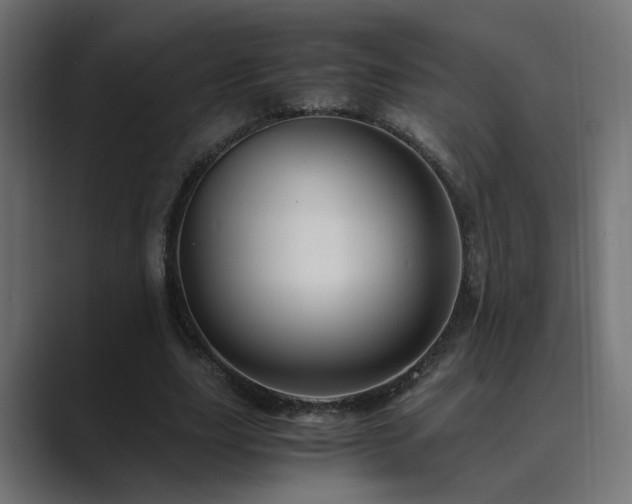 X0000089950631200706291212