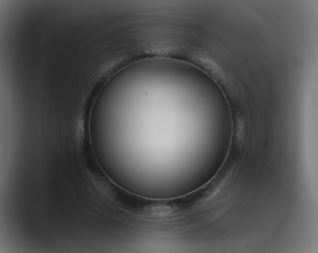 X0000089950636200706291212