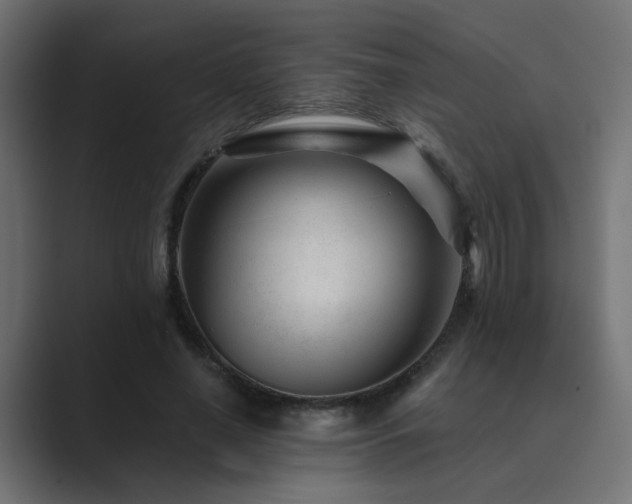 X0000089950638200706291212