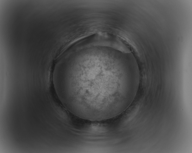 X0000089950641200706291212