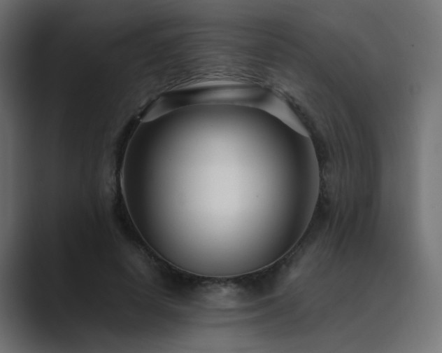 X0000089950642200706291212