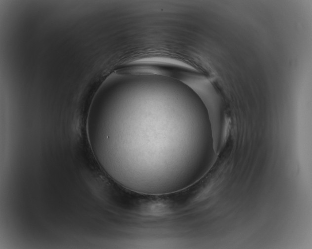 X0000089950643200706291212