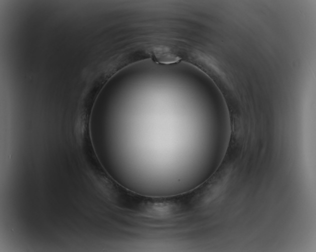 X0000089950645200706291212