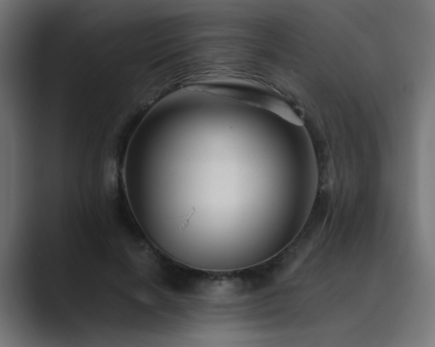 X0000089950646200706291212