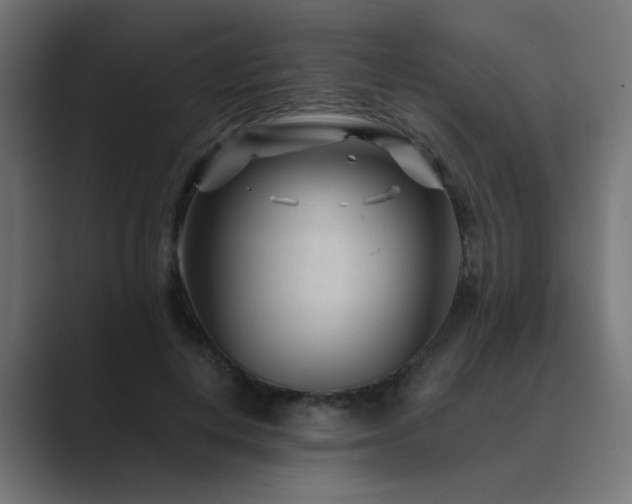 X0000089950648200706291212