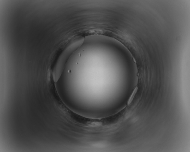 X0000089950649200706291212