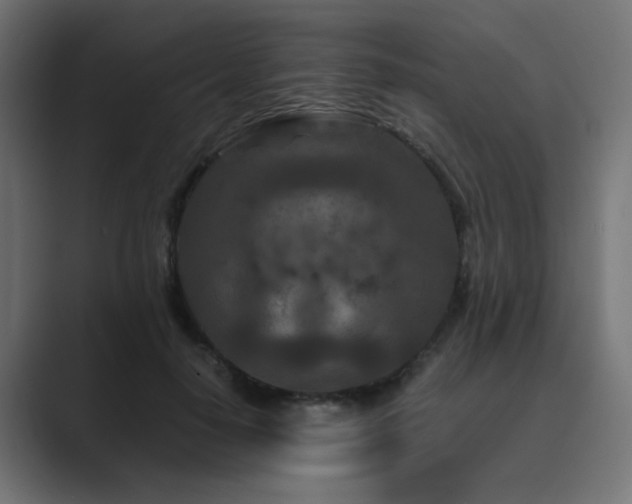 X0000089950650200706291212