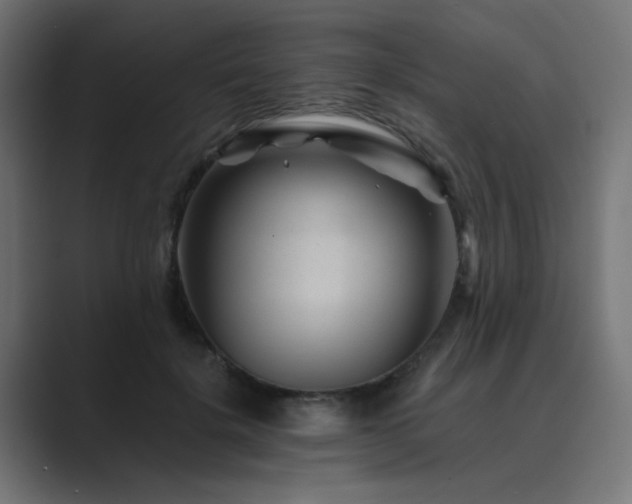 X0000089950652200706291212