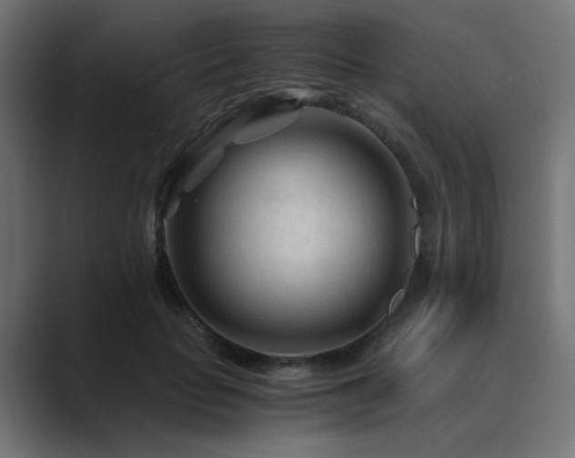 X0000089950653200706291212