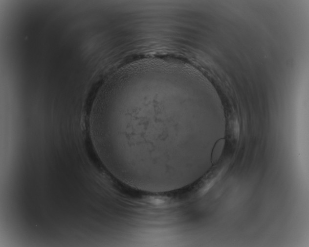 X0000089950654200706291212