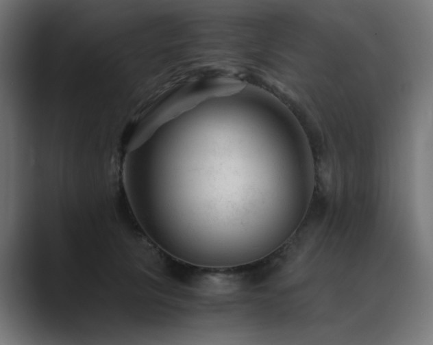 X0000089950657200706291212