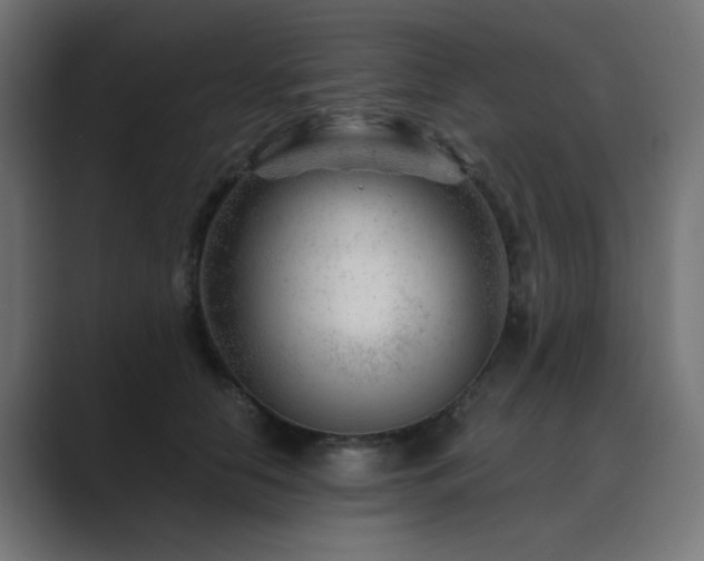 X0000089950658200706291212