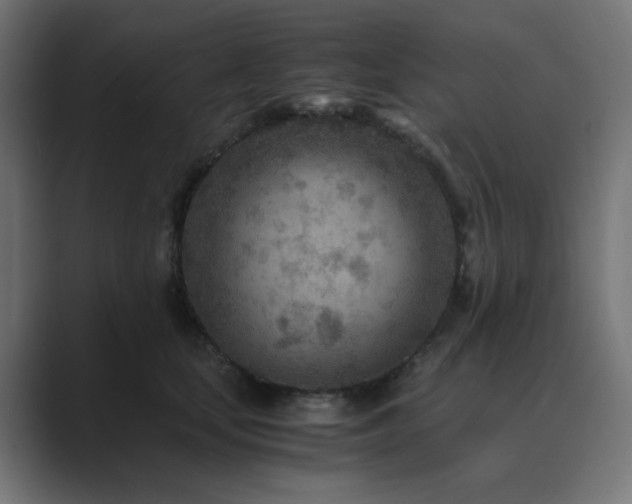 X0000089950659200706291212