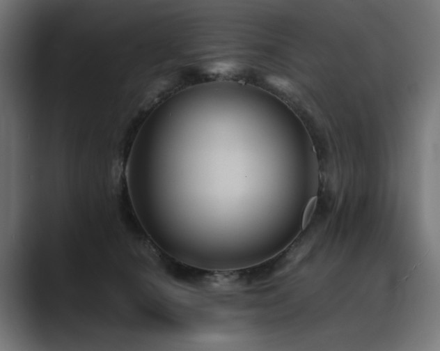 X0000089950660200706291212