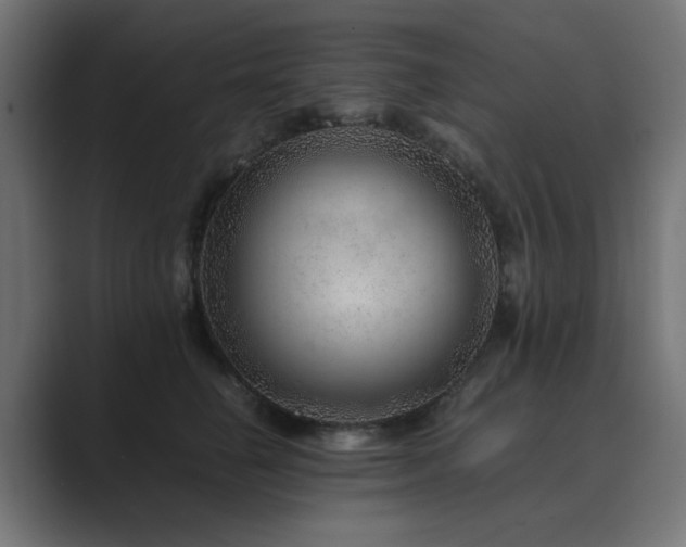 X0000089950662200706291212